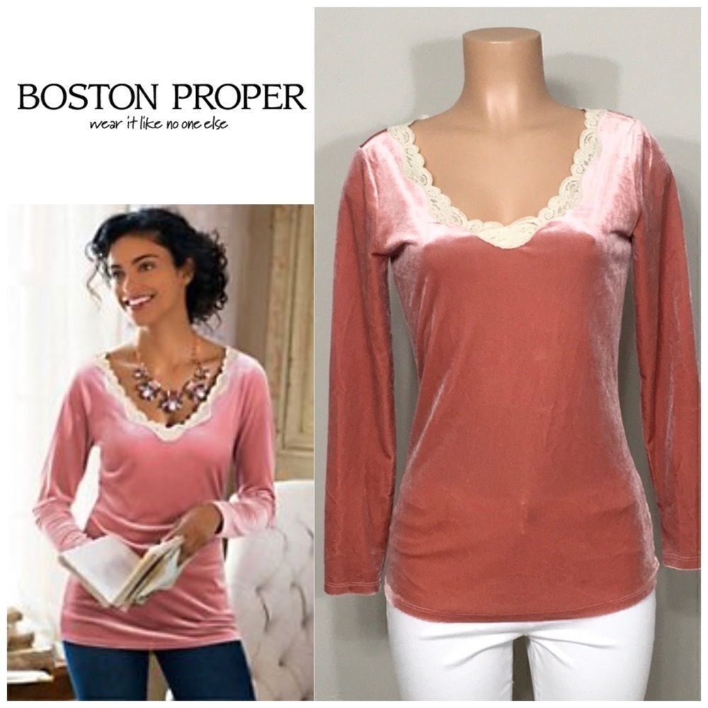 Soft Surroundings Vintage Velvet stretch top. 2-4